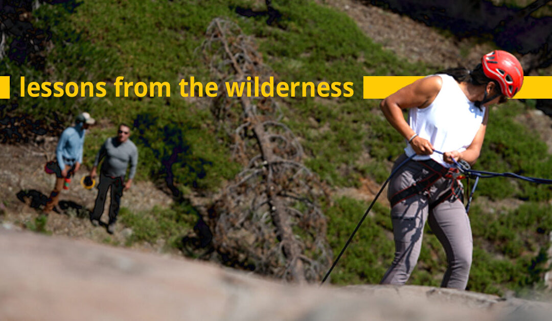 Lessons from the Wilderness